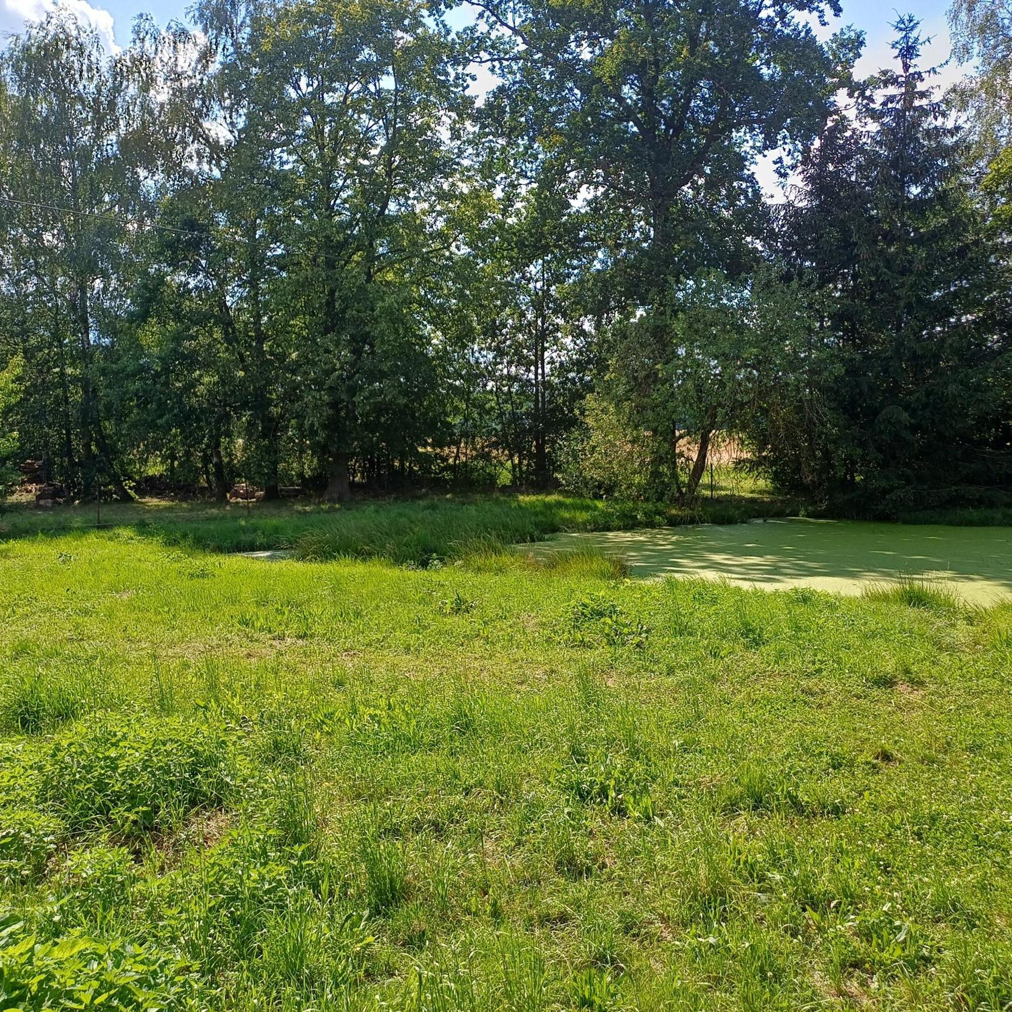 Statek U Spulaka Apartman Lomnice nad Lužnicí Kültér fotó